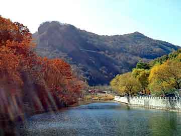 合川金九城最新动态，城市新地标蓬勃发展之路