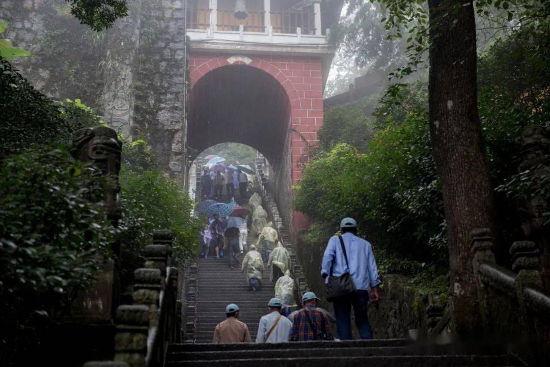 九华山最新动态全面报道