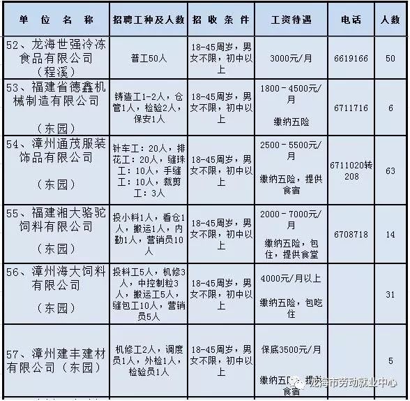 龙海海澄镇最新招聘解析与求职信息速递