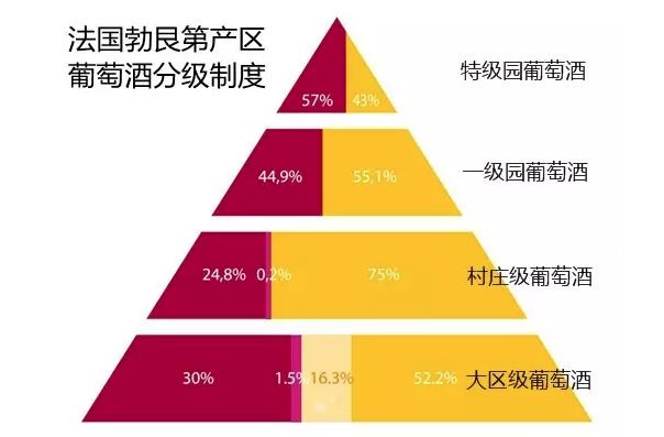 2024澳门今天特马开什么｜全面把握解答解释策略