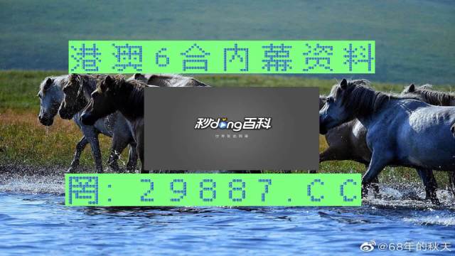 2024买马资料免费网站,深度解答解释定义_旗舰版88.145