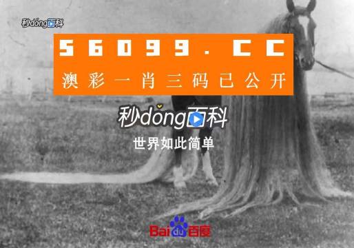 一肖一码一必中一肖,衡量解答解释落实_FHD72.616