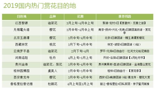 澳门铁算正版免费大全,最新热门解答落实_W77.18