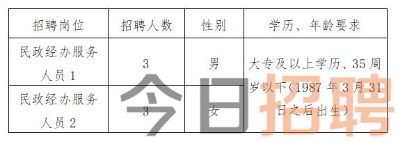 林芝县数据和政务服务局最新招聘信息概览