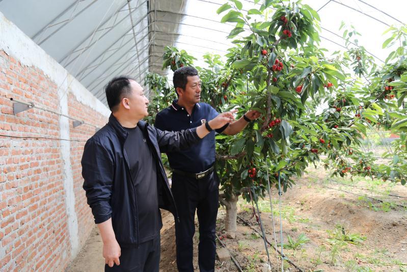 辉南县数据和政务服务局领导团队最新概况及概述