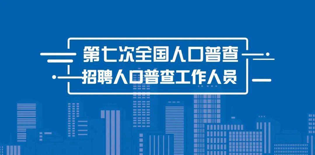 莲都区统计局最新招聘信息概览，职位空缺与申请指南